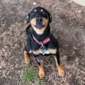 Photo of Lettie