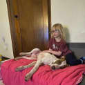 Photo of Lark
