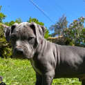 Photo of Hinto 