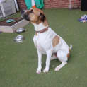 Photo of Tex