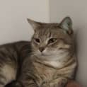 Photo of Percy