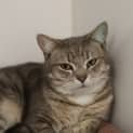 Photo of Percy