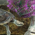 Photo of Dave