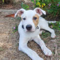 Photo of Hades