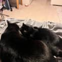 Photo of Boots And Snuggs