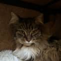 Photo of Boots