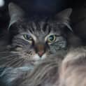Photo of Boots
