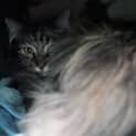 Photo of Boots
