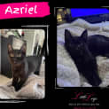 Photo of Azriel