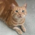 Photo of Vlad