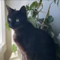 Photo of Fred