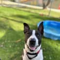 Photo of Hercules 
