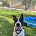 Photo of Hercules 