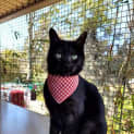 Photo of Leo