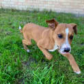 Photo of Trevor