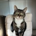 Photo of Mae 