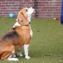 Photo of Happy