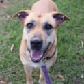 Photo of Zimba
