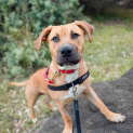 Photo of Cooper