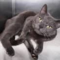 Photo of Sooty