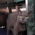 Photo of Sooty