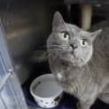Photo of Sooty