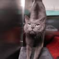 Photo of Sooty