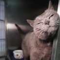 Photo of Sooty