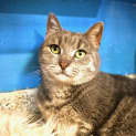 Photo of Bobo