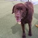 Photo of Ivy