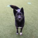 Photo of Lucky