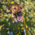 Photo of Ginny