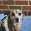 Photo of Twistie