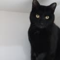 Photo of Reggie