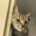 Photo of Jillybean