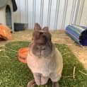 Photo of Chase