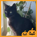 Photo of Fred