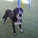 Photo of Sherry