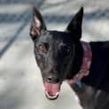 Photo of Gretchen