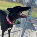 Photo of Gretchen