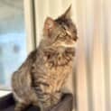 Photo of Leo