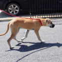 Photo of Floyd