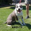 Photo of Marilyn