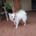 Photo of Pappy