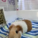 Photo of Susan