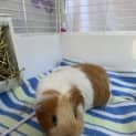 Photo of Susan