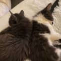 Photo of Spice & Sugar