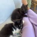 Photo of Spice & Sugar