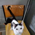 Photo of Lolly