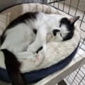 Photo of Sugar